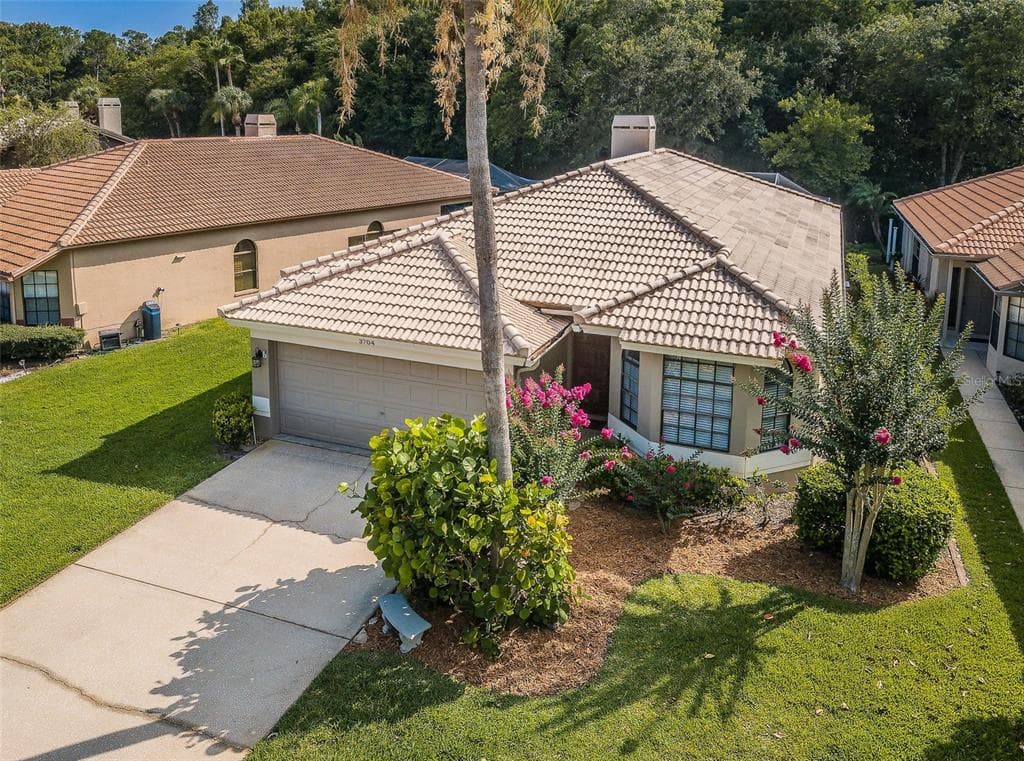 3704 DARSTON STREET PALM HARBOR, FL 34685