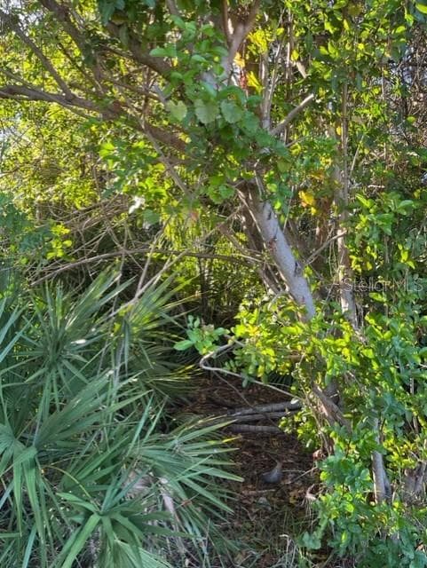 77TH AVE SEMINOLE, FL 33776