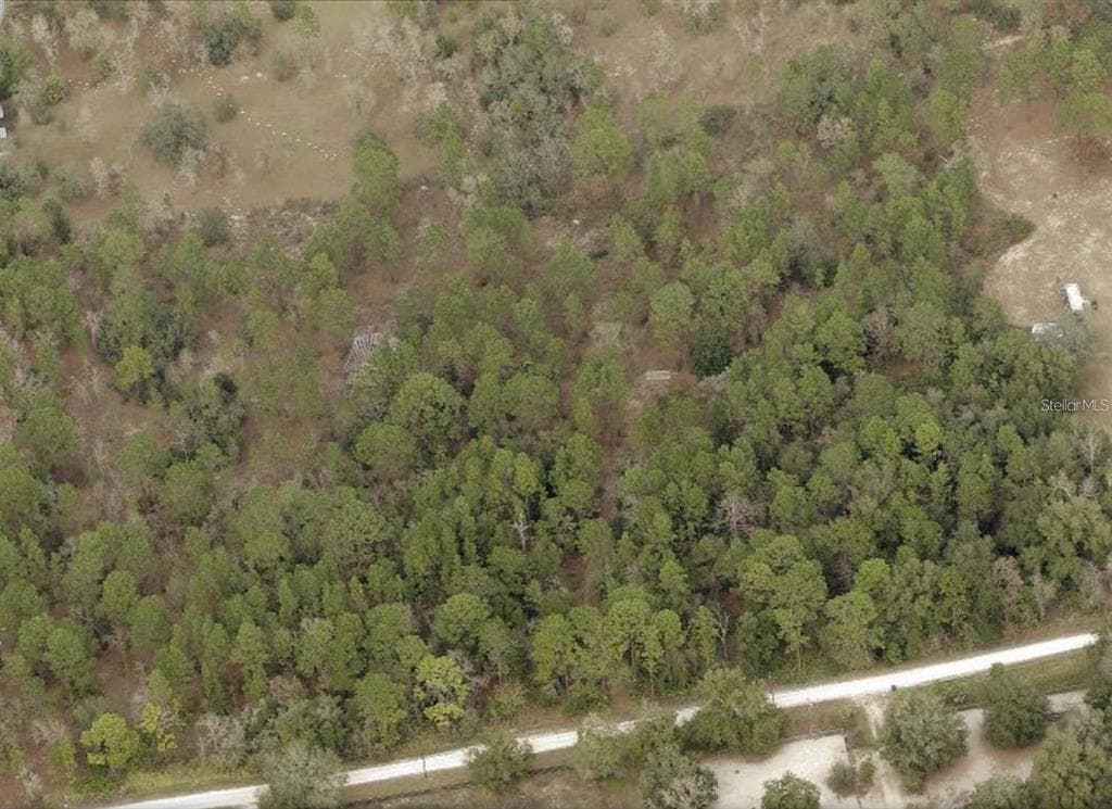 14091 OLYMPIC VILLAGE LANE BROOKSVILLE, FL 34614