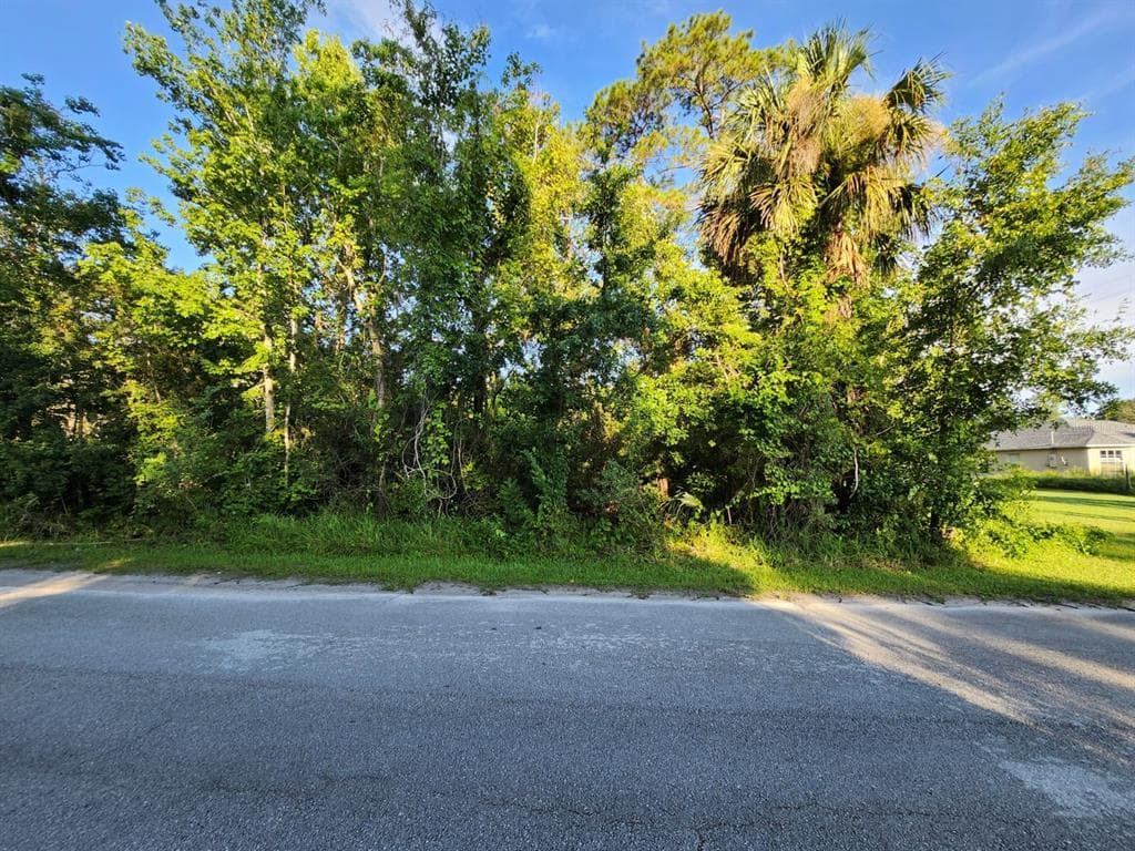 258 LAGO VISTA STREET DEBARY, FL 32713