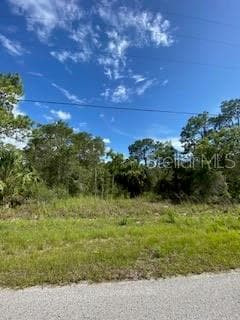 1 DUDA ROAD HUDSON, FL 34667