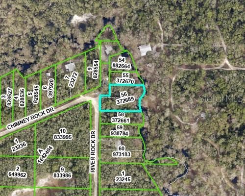 RIVER ROCK DRIVE WEBSTER, FL 33597