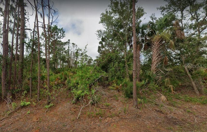 12213 TERKELSEN AVENUE PORT CHARLOTTE, FL 33981