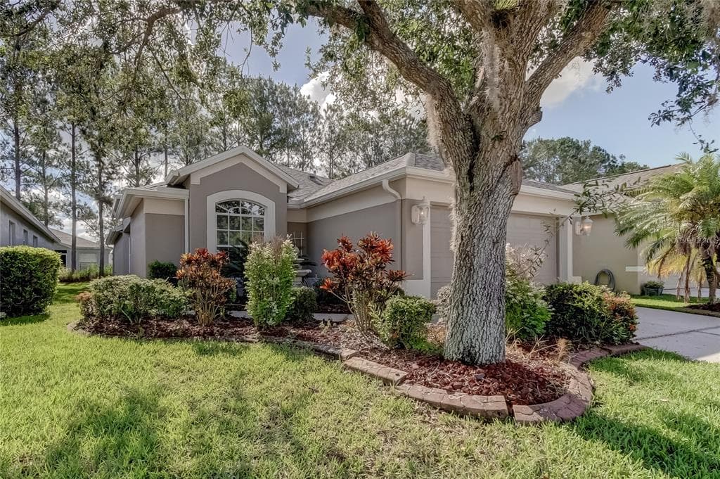 5230 GATO DEL SOL CIRCLE WESLEY CHAPEL, FL 33544