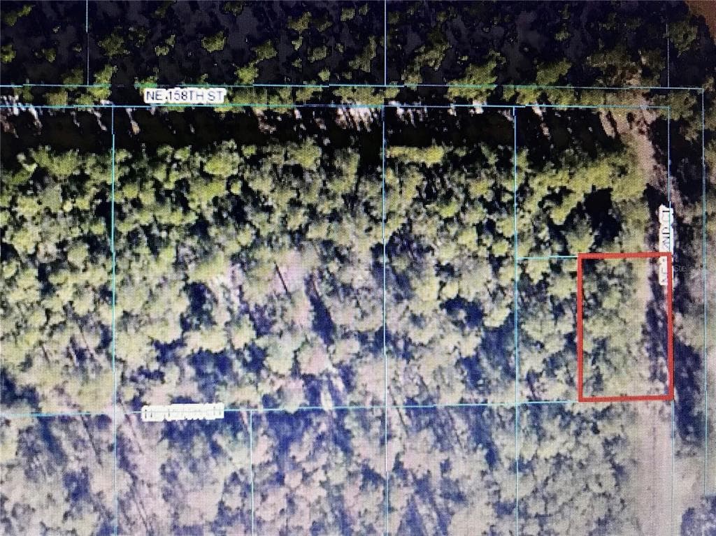 TBA NE 142ND COURT FORT MC COY, FL 32134