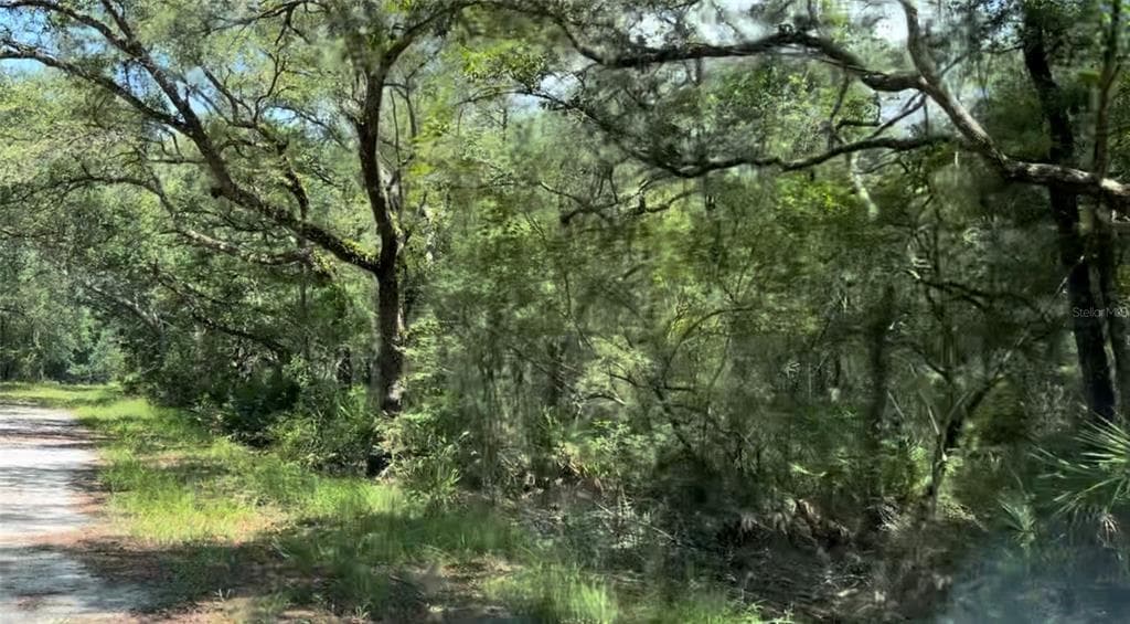 0 SE PELICAN ROAD BRANFORD, FL 32008
