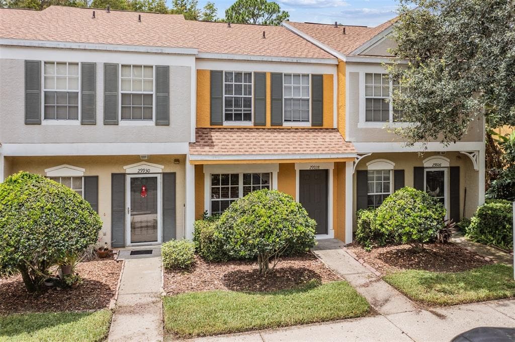 29928 ALTA VITA LANE WESLEY CHAPEL, FL 33543