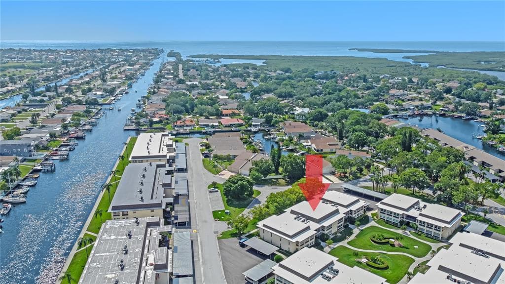 5242 OPAL LANE UNIT 203 NEW PORT RICHEY, FL 34652