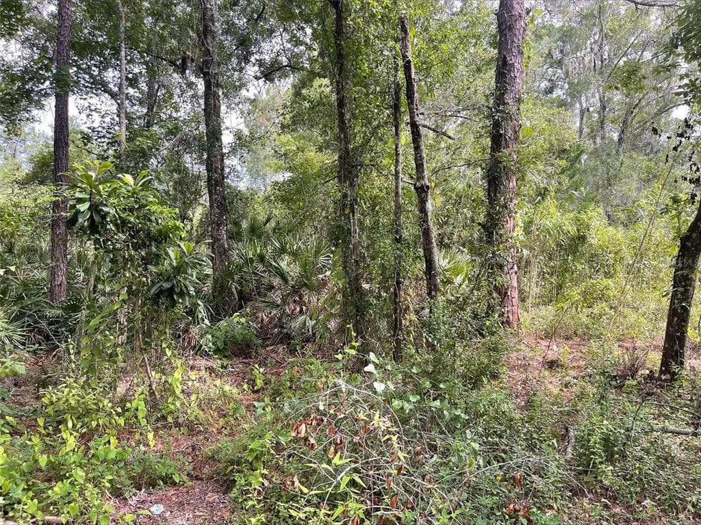 0 EOLA AVENUE NEW PORT RICHEY, FL 34654