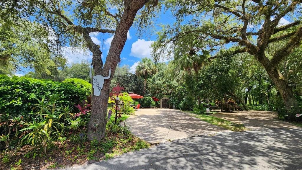 389 LONGHORN DRIVE LAKE WALES, FL 33898