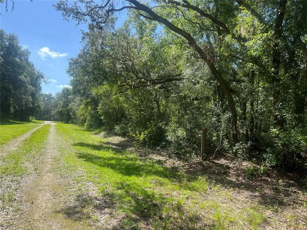 35422 KOLA DRIVE WEBSTER, FL 33597