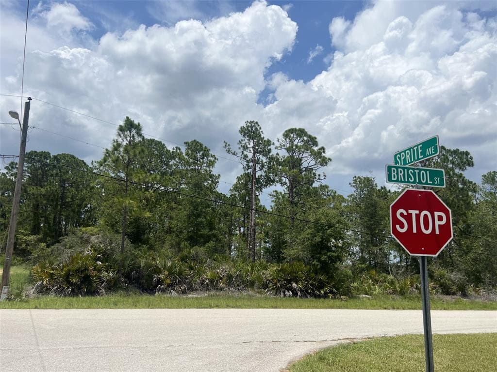 3124 BRISTOL STREET SEBRING, FL 33872