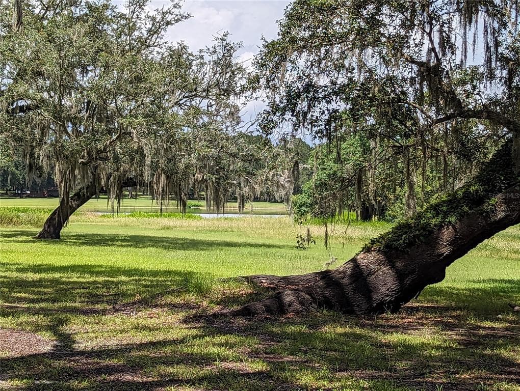 17338 PALAMINO LAKE DRIVE DADE CITY, FL 33523