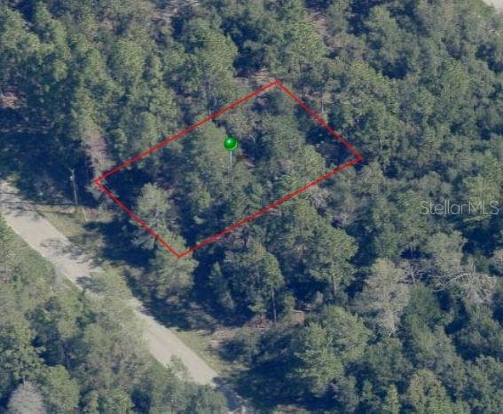 9271 N CORTLANDT DRIVE CITRUS SPRINGS, FL 34434