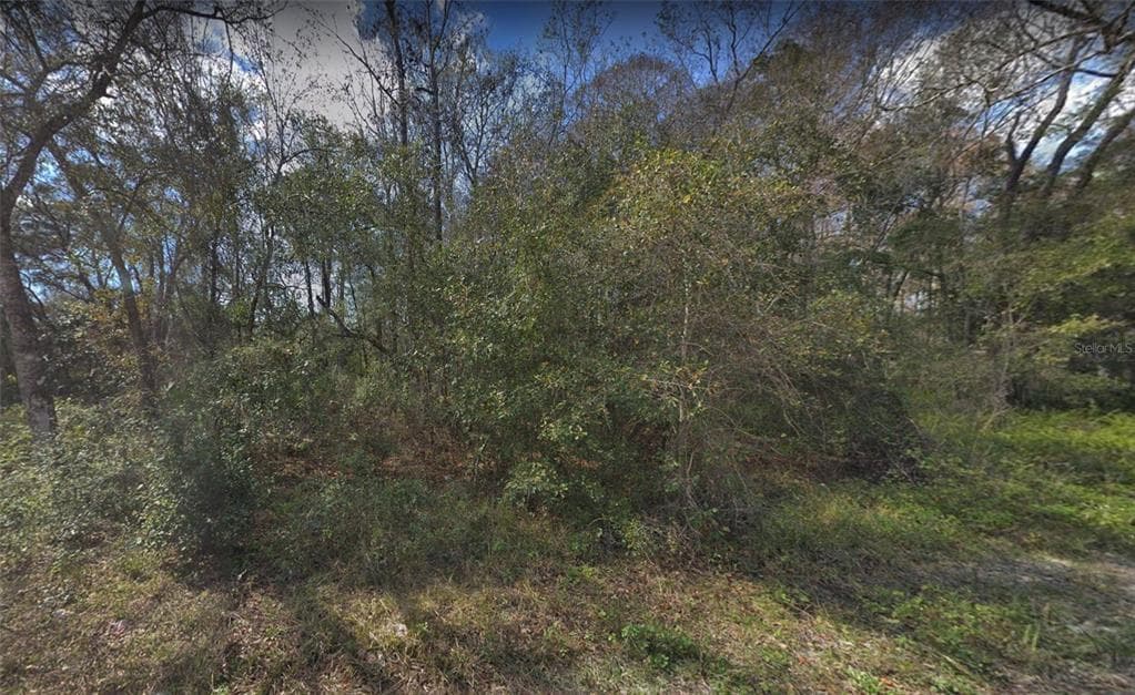 LEON STREET NEW PORT RICHEY, FL 34654
