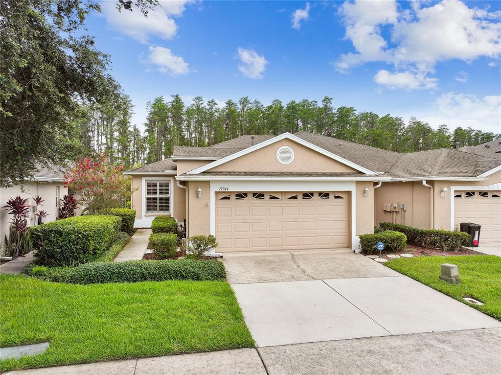 19344 HASKELL PLACE LAND O LAKES, FL 34638