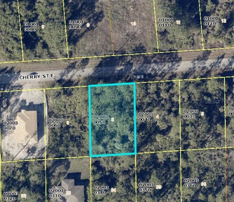 1124 CHERRY STREET E LEHIGH ACRES, FL 33974