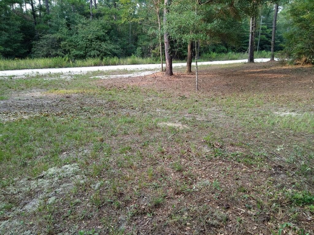 177TH COURT LOT 11 LIVE OAK, FL 32060