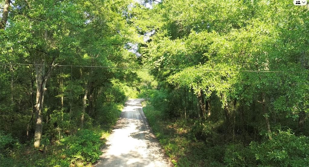 206 TERRACE N O'BRIEN, FL 32071
