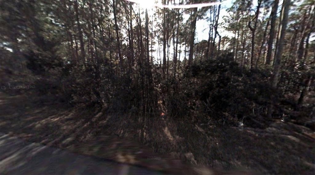 8 LLEBERRY PATH PALM COAST, FL 32164