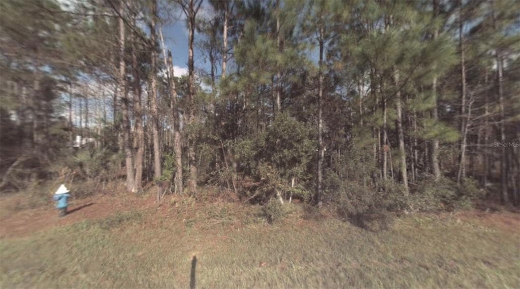 3 LLESTONE PATH PALM COAST, FL 32164
