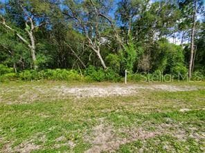 FACULTY STREET WEBSTER, FL 33597