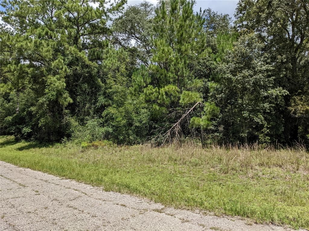 9369 N LILY DRIVE CITRUS SPRINGS, FL 34434