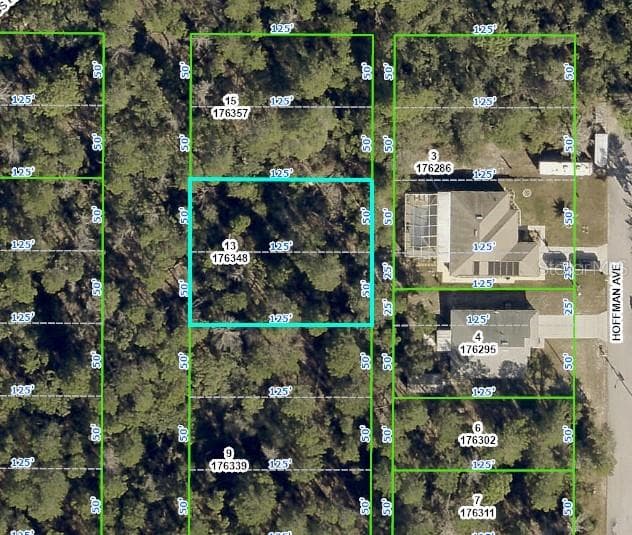 LAS PALMAS AVENUE SPRING HILL, FL 34606