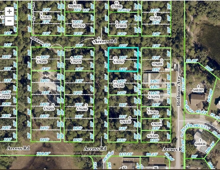 LAS PALMAS AVENUE SPRING HILL, FL 34606