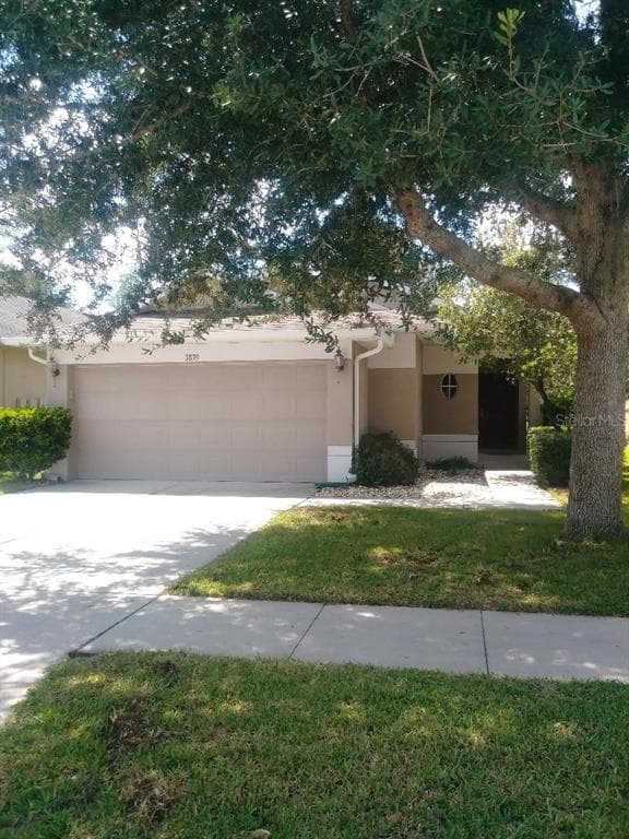 7839 FOXGROVE DRIVE LAND O LAKES, FL 34637