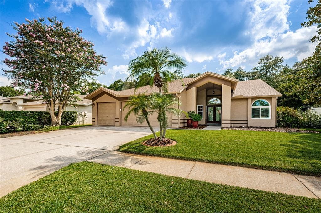 10216 VISTA POINTE DRIVE TAMPA, FL 33635