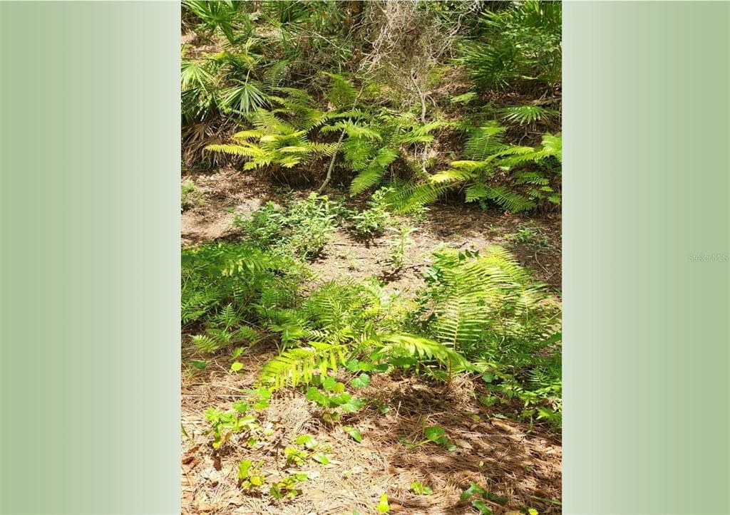 1130 OXBOW ROAD WIMAUMA, FL 33598