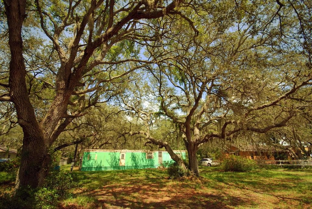 11502 BALM RIVERVIEW ROAD RIVERVIEW, FL 33569