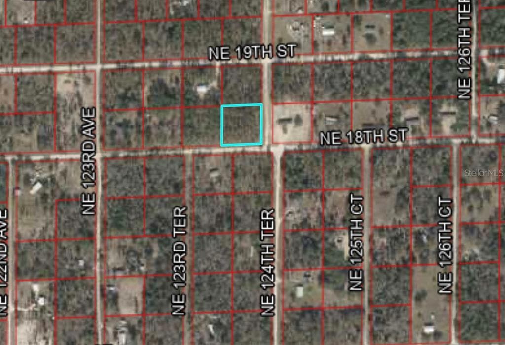 12400 18TH STREET NE WILLISTON, FL 32696