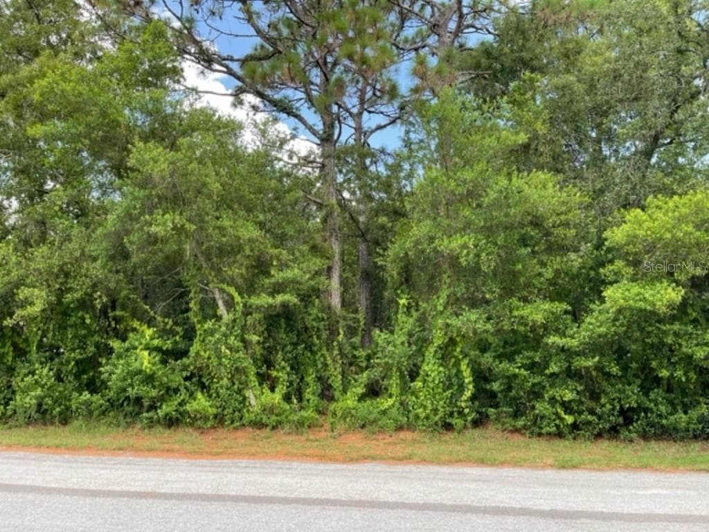 18 LEMINGTON COURT HOMOSASSA, FL 34446