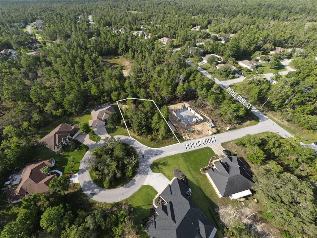 6 PEPPER COURT HOMOSASSA, FL 34446