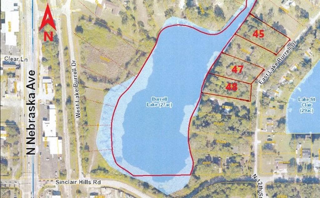 15618 E LAKE BURRELL DRIVE LUTZ, FL 33549