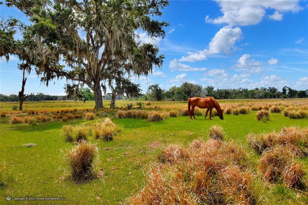 KILGORE ROAD PLANT CITY, FL 33567