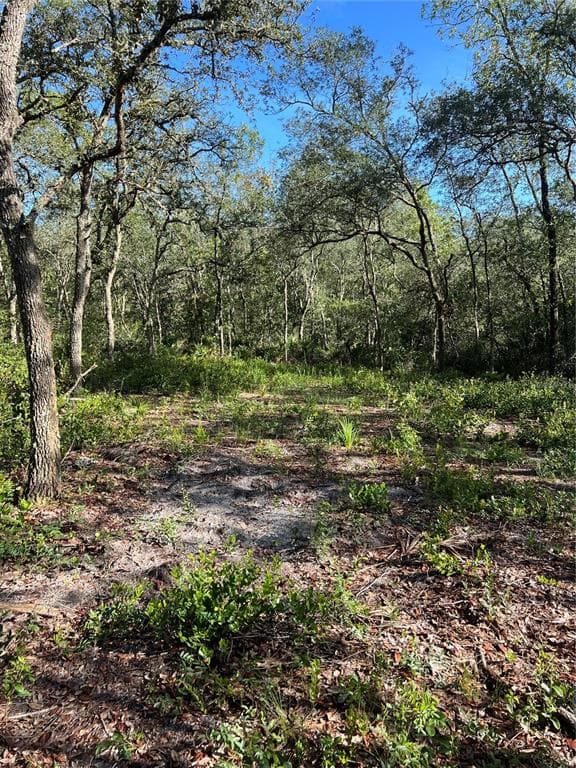 8186 GIDDING LANE WEBSTER, FL 33597