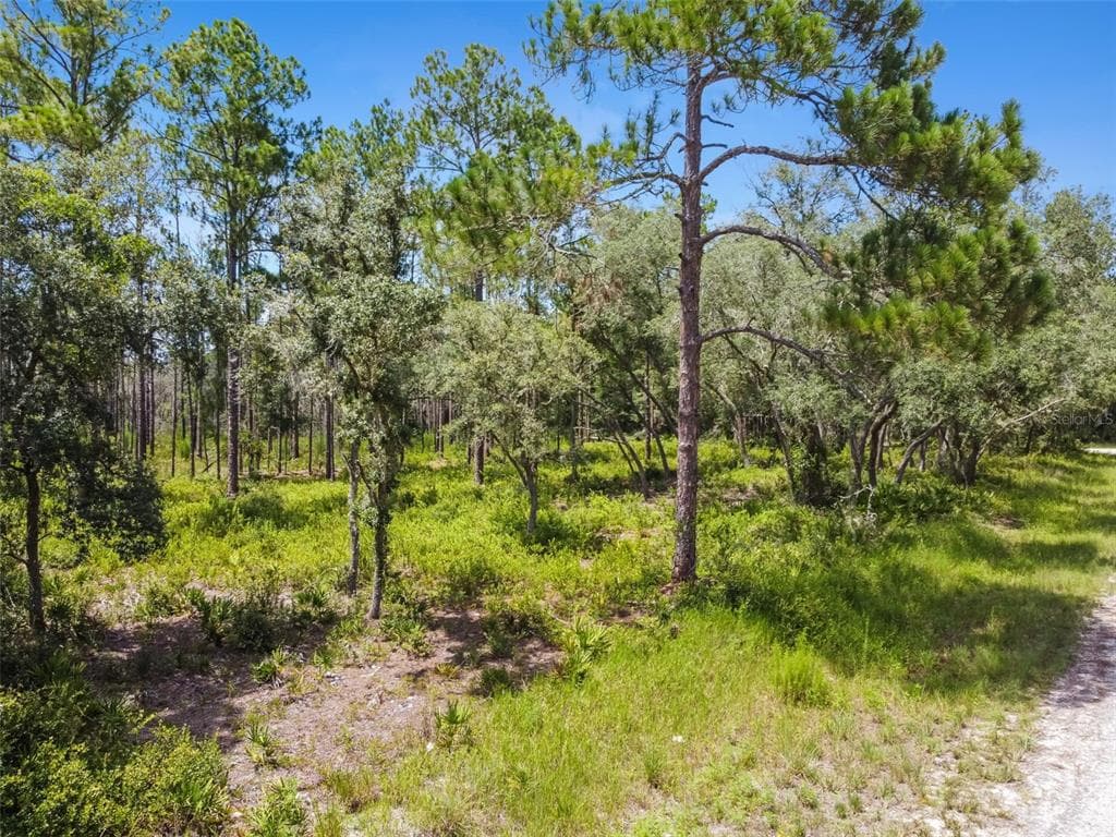 SOFTSTONE DRIVE WEBSTER, FL 33597