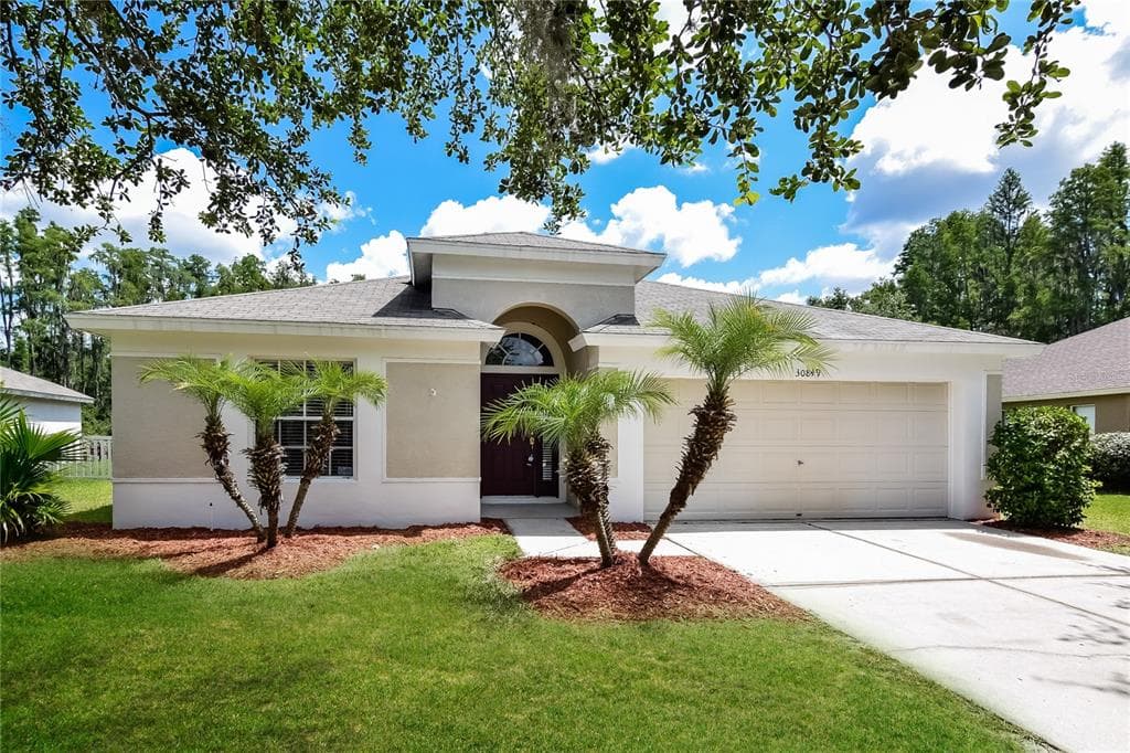 30849 LUHMAN COURT WESLEY CHAPEL, FL 33543