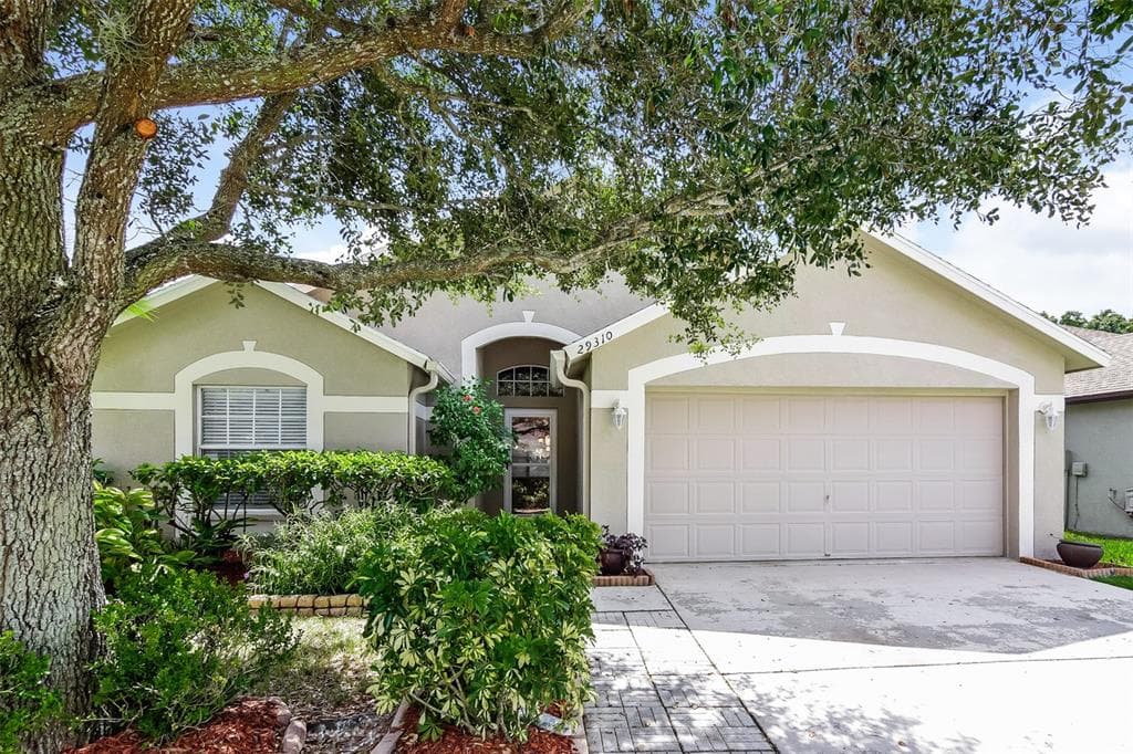 29310 BIRDS EYE DRIVE WESLEY CHAPEL, FL 33543