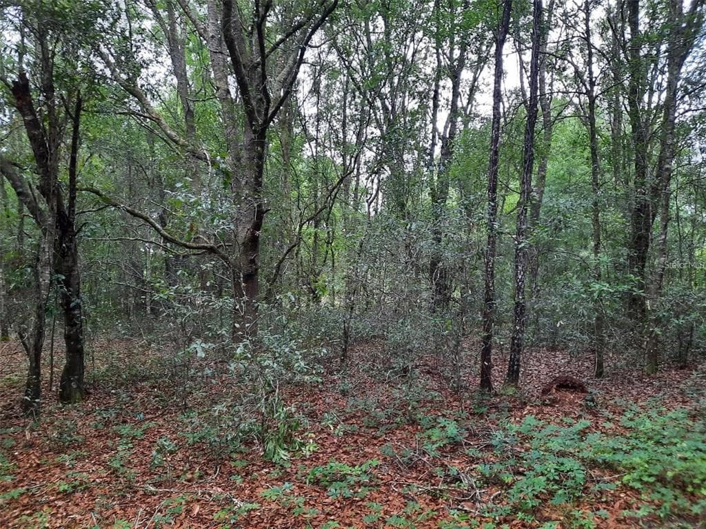 2311 TYLER STREET INVERNESS, FL 34453