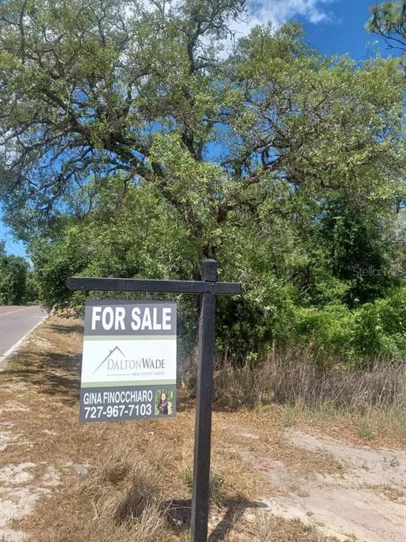 14189 PEACE BOULEVARD SPRING HILL, FL 34610