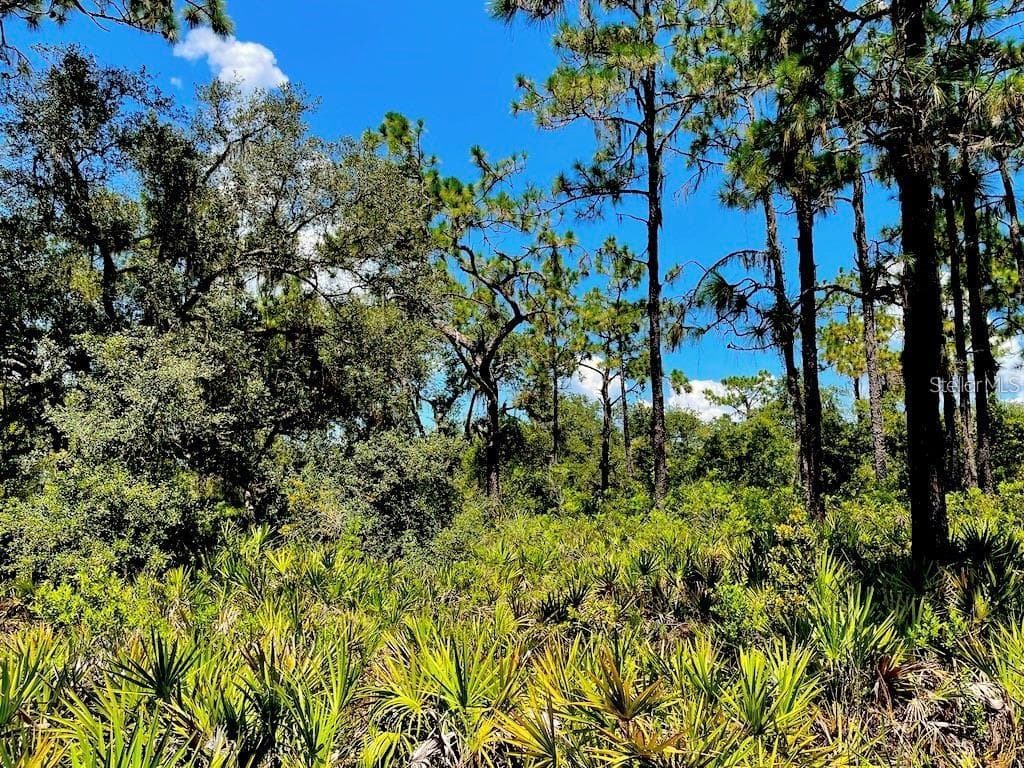 114 IXORA DRIVE INDIAN LAKE ESTATES, FL 33855