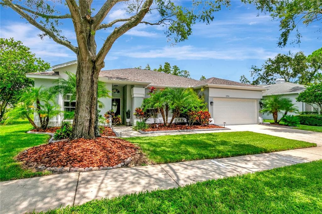 18906 EDINBOROUGH WAY TAMPA, FL 33647