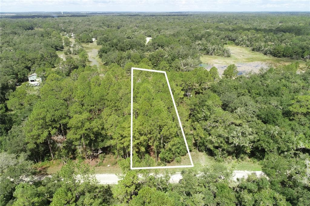 6419 OTTER DRIVE WEBSTER, FL 33597