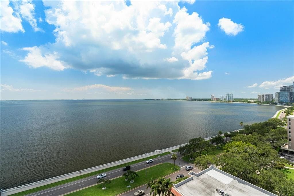 2413 BAYSHORE BOULEVARD UNIT 1602 TAMPA, FL 33629