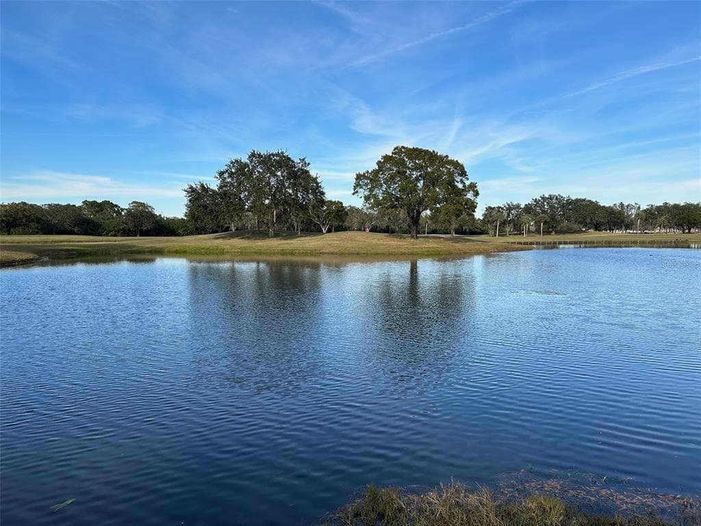 1918 N PEBBLE BEACH BOULEVARD SUN CITY CENTER, FL 33573