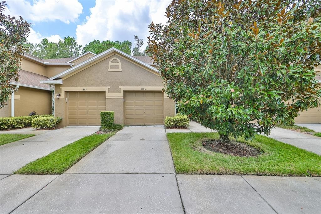 18856 DUQUESNE DRIVE TAMPA, FL 33647